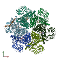 PDB entry 8fct coloured by chain, front view.