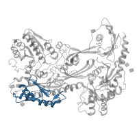 The deposited structure of PDB entry 8fd7 contains 1 copy of Pfam domain PF08399 (VWA N-terminal) in Voltage-dependent calcium channel subunit alpha-2/delta-1. Showing 1 copy in chain A [auth D].