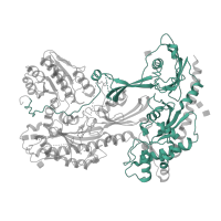 The deposited structure of PDB entry 8fd7 contains 1 copy of Pfam domain PF08473 (Neuronal voltage-dependent calcium channel alpha 2acd) in Voltage-dependent calcium channel subunit alpha-2/delta-1. Showing 1 copy in chain A [auth D].