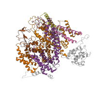 The deposited structure of PDB entry 8fd7 contains 6 copies of Pfam domain PF00520 (Ion transport protein) in Voltage-dependent L-type calcium channel subunit alpha-1C. Showing 6 copies in chain B [auth K].