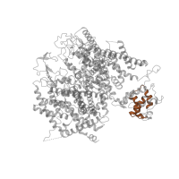 The deposited structure of PDB entry 8fd7 contains 1 copy of Pfam domain PF08763 (Voltage gated calcium channel IQ domain) in Voltage-dependent L-type calcium channel subunit alpha-1C. Showing 1 copy in chain B [auth K].