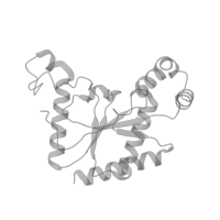 The deposited structure of PDB entry 8fd7 contains 1 copy of Pfam domain PF12052 (Voltage gated calcium channel subunit beta domain 4Aa N terminal) in Voltage-dependent L-type calcium channel subunit beta-3. Showing 1 copy in chain C (this domain is out of the observed residue ranges!).