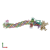 Hetero decameric assembly 1 of PDB entry 8fee coloured by chemically distinct molecules, front view.
