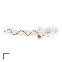 Virulence factor Mce family protein in PDB entry 8fee, assembly 1, top view.