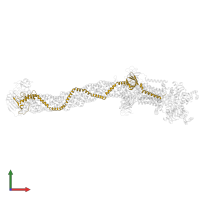 Mce-family protein mce1f in PDB entry 8fee, assembly 1, front view.