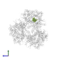 ERYTHROMYCIN A in PDB entry 8ffs, assembly 1, side view.