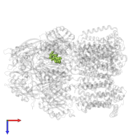 ERYTHROMYCIN A in PDB entry 8ffs, assembly 1, top view.