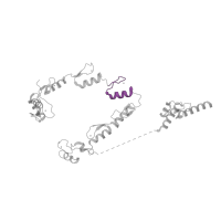 The deposited structure of PDB entry 8ffz contains 1 copy of Pfam domain PF13894 (C2H2-type zinc finger) in Transcription factor IIIA. Showing 1 copy in chain A.
