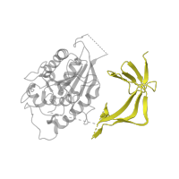 The deposited structure of PDB entry 8ffz contains 1 copy of Pfam domain PF10419 (TFIIIC subunit triple barrel domain) in Transcription factor tau 55 kDa subunit. Showing 1 copy in chain G.