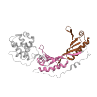 The deposited structure of PDB entry 8ffz contains 2 copies of Pfam domain PF00352 (Transcription factor TFIID (or TATA-binding protein, TBP)) in TATA-box-binding protein. Showing 2 copies in chain H.