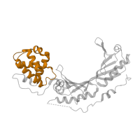 The deposited structure of PDB entry 8ffz contains 2 copies of Pfam domain PF00382 (Transcription factor TFIIB repeat) in TATA-box-binding protein. Showing 2 copies in chain H (some of the copies are out of the observed residue ranges!).