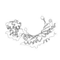 The deposited structure of PDB entry 8ffz contains 1 copy of Pfam domain PF07741 (Brf1-like TBP-binding domain) in TATA-box-binding protein. Showing 1 copy in chain H (this domain is out of the observed residue ranges!).