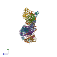 Hetero decameric assembly 1 of PDB entry 8ffz coloured by chemically distinct molecules, side view.