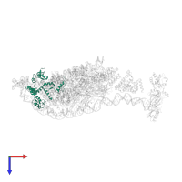 Transcription factor IIIA in PDB entry 8ffz, assembly 1, top view.