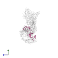 Transcription factor tau 95 kDa subunit in PDB entry 8ffz, assembly 1, side view.
