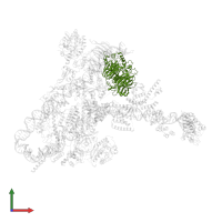 Transcription factor tau 91 kDa subunit in PDB entry 8ffz, assembly 1, front view.