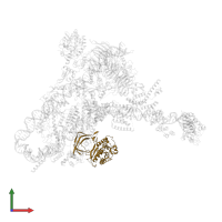 Transcription factor tau 55 kDa subunit in PDB entry 8ffz, assembly 1, front view.