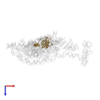 Transcription factor tau 55 kDa subunit in PDB entry 8ffz, assembly 1, top view.