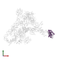 TATA-box-binding protein in PDB entry 8ffz, assembly 1, front view.