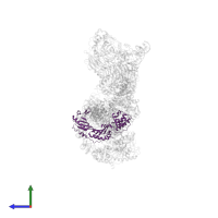 TATA-box-binding protein in PDB entry 8ffz, assembly 1, side view.