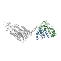 The deposited structure of PDB entry 8fho contains 6 copies of Pfam domain PF03522 (Solute carrier family 12) in Solute carrier family 12 member 3. Showing 2 copies in chain A.