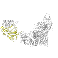 The deposited structure of PDB entry 8fjl contains 5 copies of Pfam domain PF21063 (Reovirus core-spike protein lambda-2 (L2), GTase domain) in Outer capsid protein VP1. Showing 1 copy in chain Y.