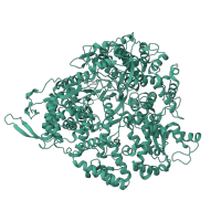 The deposited structure of PDB entry 8fjl contains 1 copy of Pfam domain PF07925 (Reovirus RNA-dependent RNA polymerase lambda 3) in RNA-directed RNA polymerase VP2. Showing 1 copy in chain A.