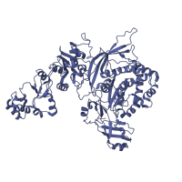 The deposited structure of PDB entry 8fjl contains 1 copy of Pfam domain PF07781 (Reovirus minor core protein Mu-2) in Microtubule-associated protein VP5. Showing 1 copy in chain B.