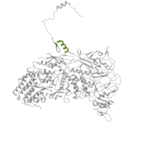 The deposited structure of PDB entry 8fjl contains 10 copies of Pfam domain PF13912 (C2H2-type zinc finger) in Major inner capsid protein VP3. Showing 1 copy in chain L.