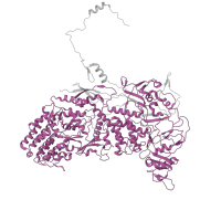 The deposited structure of PDB entry 8fjl contains 10 copies of Pfam domain PF22033 (Inner capsid protein lambda-1/VP3) in Major inner capsid protein VP3. Showing 1 copy in chain L.