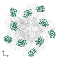 Clamp protein VP6 in PDB entry 8fjl, assembly 1, front view.