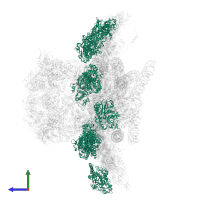 Clamp protein VP6 in PDB entry 8fjl, assembly 1, side view.