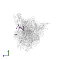 Probable rRNA-processing protein EBP2 in PDB entry 8fku, assembly 1, side view.