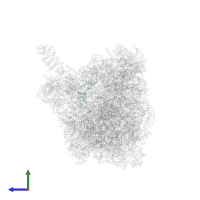 Large ribosomal subunit protein uL11 in PDB entry 8fky, assembly 1, side view.