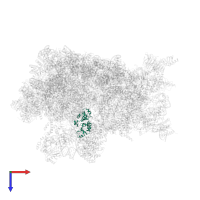 60S ribosome subunit biogenesis protein NIP7 homolog in PDB entry 8fky, assembly 1, top view.