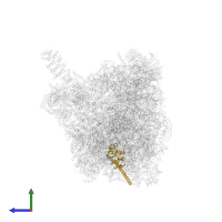 Large ribosomal subunit protein uL30 in PDB entry 8fky, assembly 1, side view.