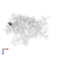 Large ribosomal subunit protein uL6 in PDB entry 8fky, assembly 1, top view.