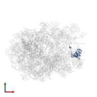 Ribosomal protein uL30-like in PDB entry 8fky, assembly 1, front view.