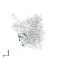 Probable rRNA-processing protein EBP2 in PDB entry 8fky, assembly 1, side view.