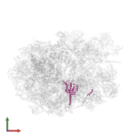 Ribosome biogenesis protein BRX1 homolog in PDB entry 8fky, assembly 1, front view.