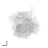 Large ribosomal subunit protein uL30 in PDB entry 8fl2, assembly 1, side view.