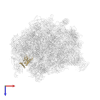 Large ribosomal subunit protein uL30 in PDB entry 8fl2, assembly 1, top view.