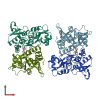 PDB entry 8fpc coloured by chain, front view.