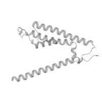 The deposited structure of PDB entry 8fpg contains 4 copies of Pfam domain PF10613 (Ligated ion channel L-glutamate- and glycine-binding site) in Glutamate receptor 2. Showing 1 copy in chain D [auth B].