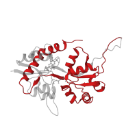 The deposited structure of PDB entry 8fqa contains 4 copies of Pfam domain PF00060 (Ligand-gated ion channel) in Glutamate receptor 2. Showing 1 copy in chain B.