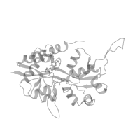 The deposited structure of PDB entry 8fqa contains 4 copies of Pfam domain PF01094 (Receptor family ligand binding region) in Glutamate receptor 2. Showing 1 copy in chain B (this domain is out of the observed residue ranges!).