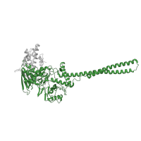 The deposited structure of PDB entry 8fqj contains 1 copy of Pfam domain PF01593 (Flavin containing amine oxidoreductase) in Lysine-specific histone demethylase 1A. Showing 1 copy in chain A.