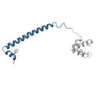 The deposited structure of PDB entry 8fqj contains 1 copy of Pfam domain PF20878 (Helical region in REST corepressor) in REST corepressor 1. Showing 1 copy in chain B.