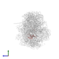 Ribosomal protein L21 in PDB entry 8fru, assembly 1, side view.