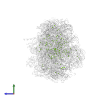 MAGNESIUM ION in PDB entry 8fru, assembly 1, side view.